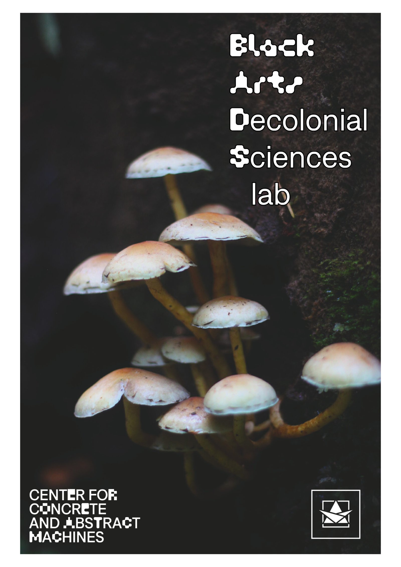 BADS_lab – Black Arts and Decolonial Sciences, May 10 -20