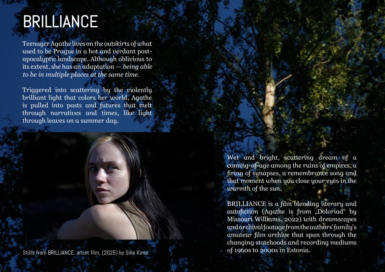 Screening: Sille Kima, “Brilliance” (25′ 9″), January 11, 6 pm