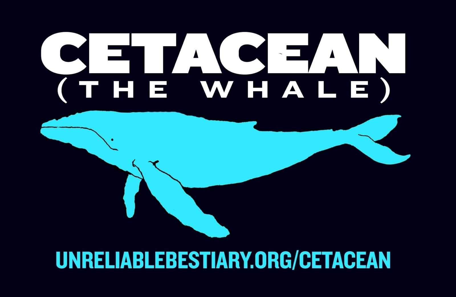 Live performance: “CETACEAN” Feb. 12 & 13, 7pm